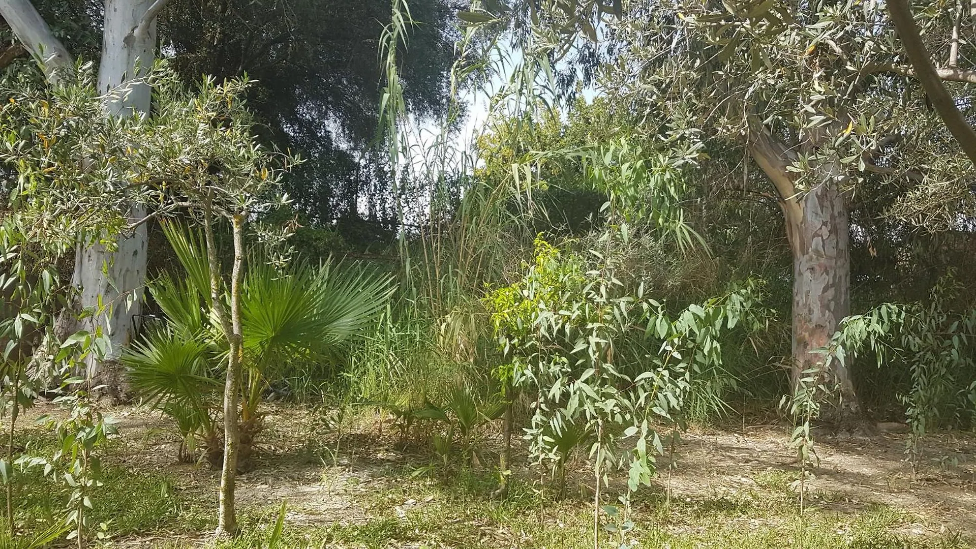 Casa Rural La Ermita 马拉加 西班牙