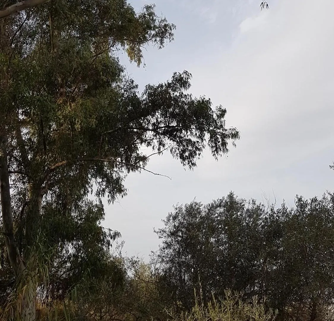 度假居 Casa Rural La Ermita 马拉加 西班牙